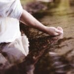 Stable Roots Limitless Growth the Power of Living in Grace