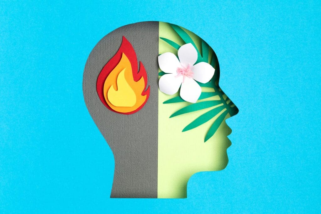 Modern Menus Burn the Brain and the Biological Blueprint for Unshakable Mental Clarity