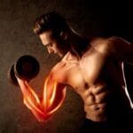 Can Photons Actually Rebuild Broken Muscle?